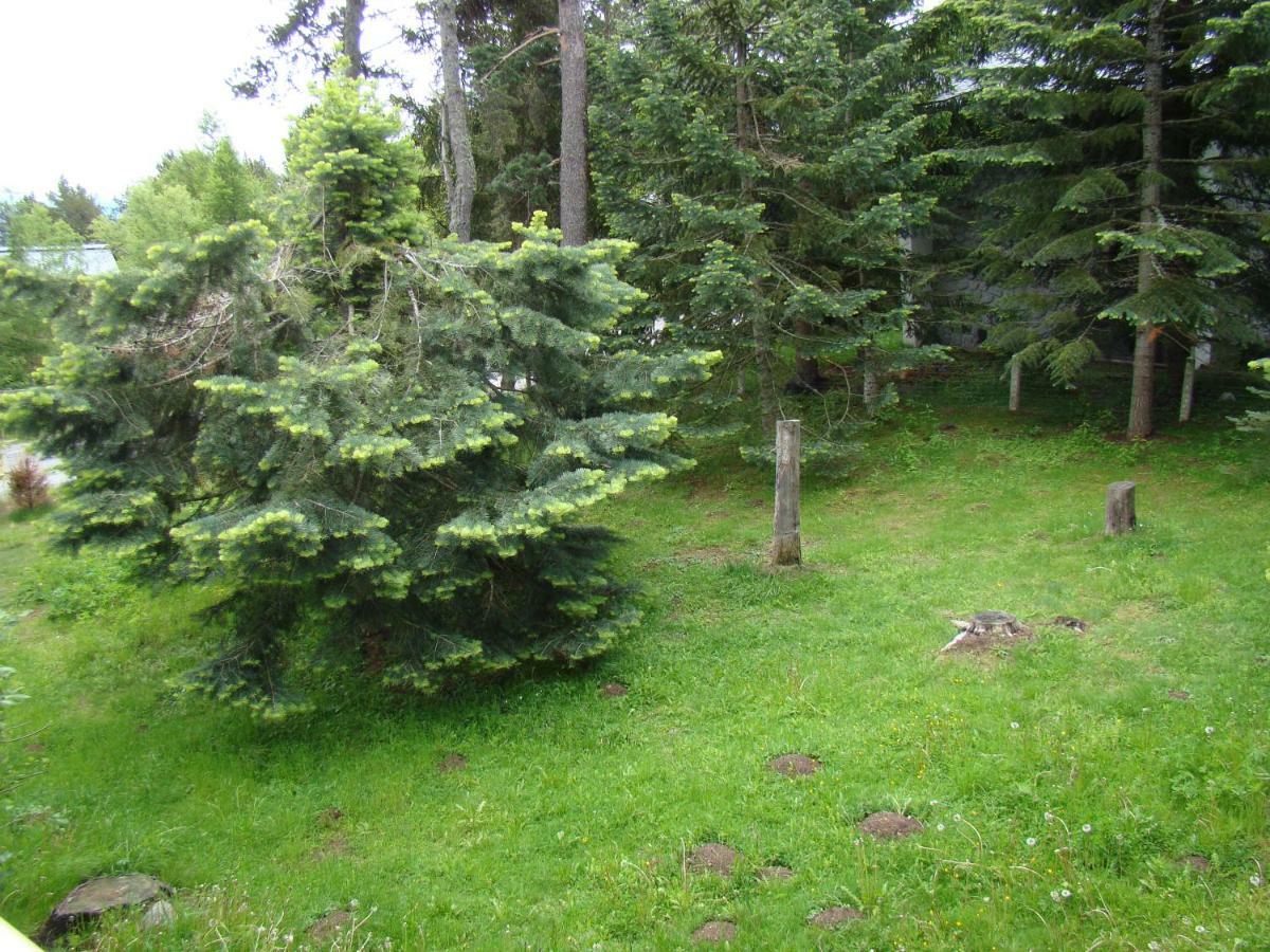 Chalet De L'Esquirol Bolquere Pyrenees 2000 Εξωτερικό φωτογραφία